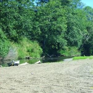 Meet your Posher, Jeanette